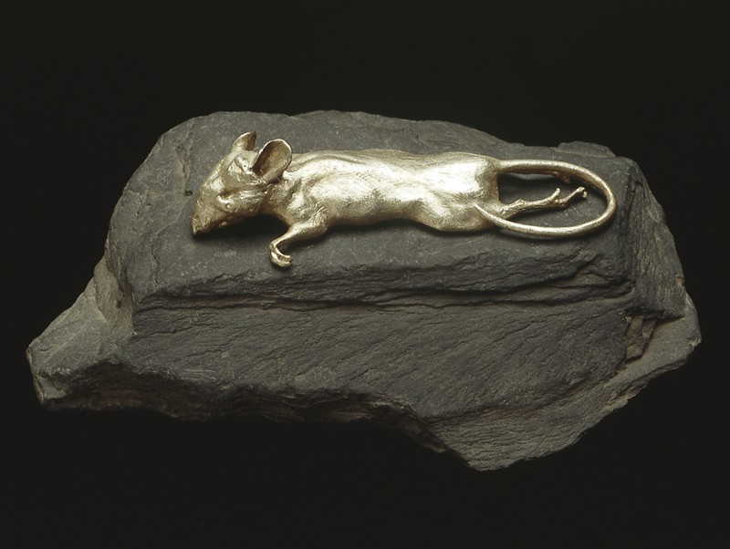 Photo by Richard Greenly  (Click to enlarge)