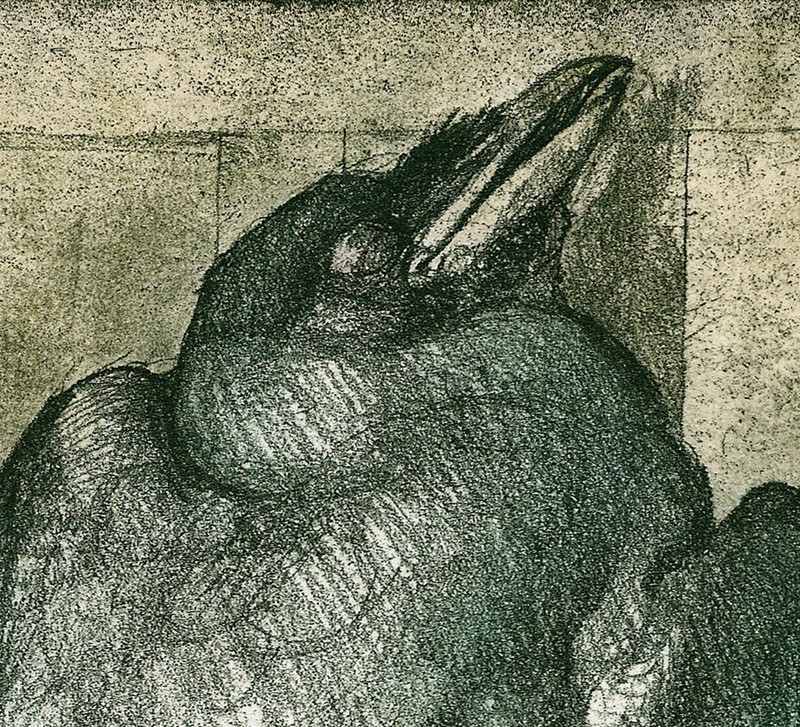 ... study of an exquisite rook ...  (Click to enlarge)