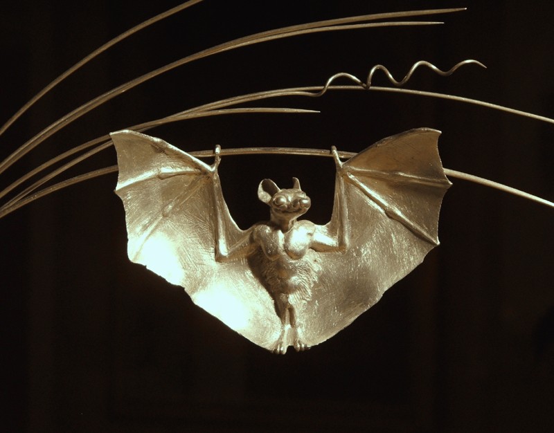 � a quiet wish in the wind �  (Click to enlarge)