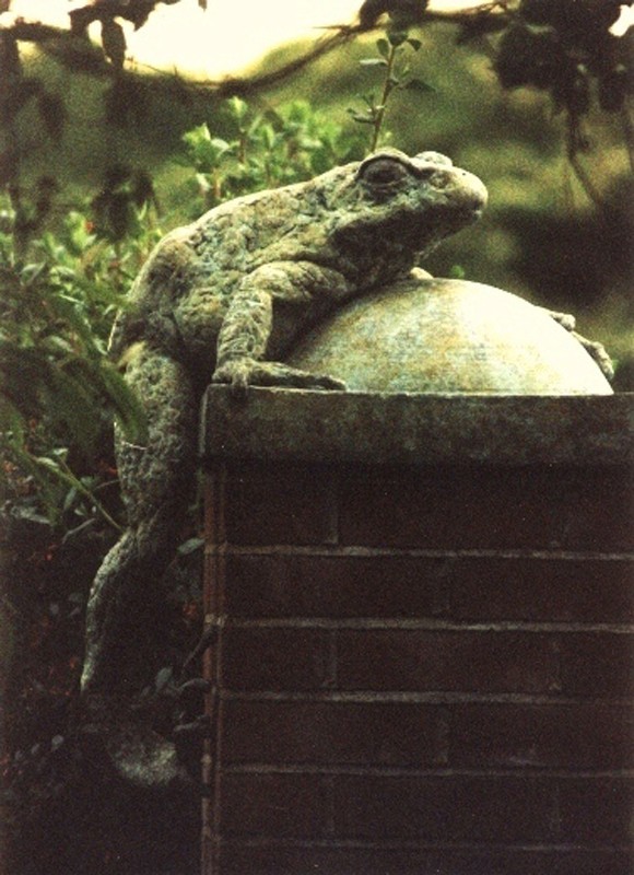 ...nearly five times life size ...  (Click to enlarge)