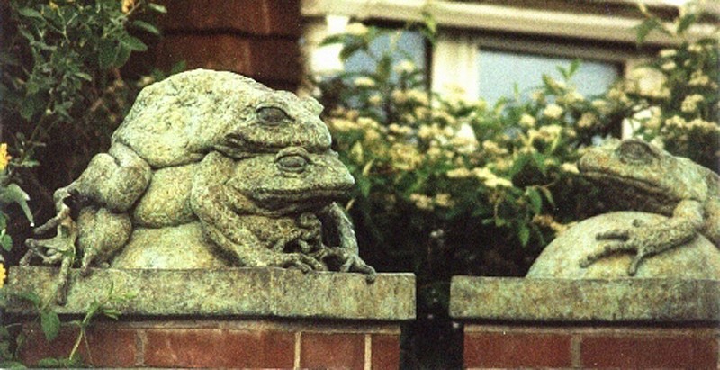 ... of a long and happy marriage ...  (Click to enlarge)