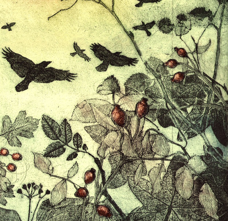 ... rampaging rooks ...  (Click to enlarge)