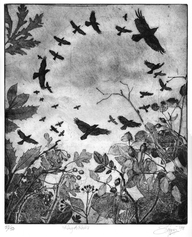 ... rampaging rooks ...  (Click to enlarge)