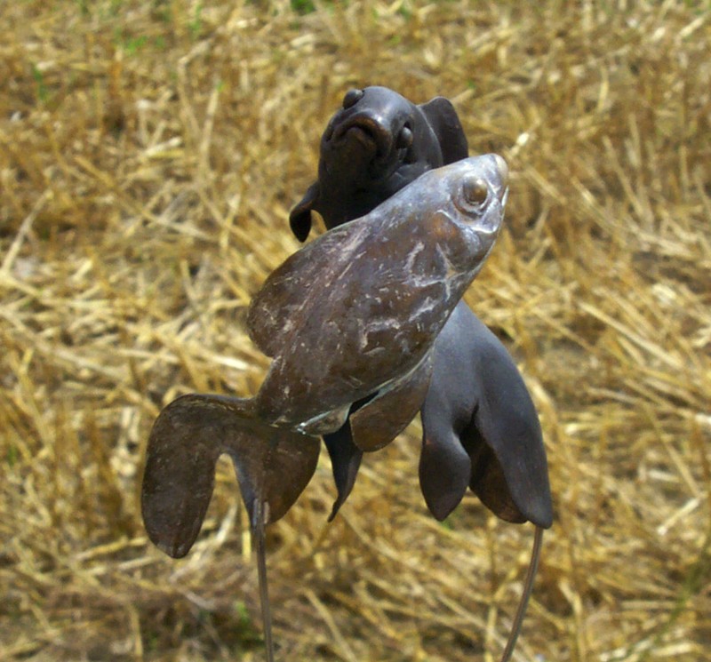 Photo by John Page  (Click to enlarge)