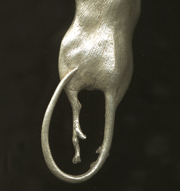 ... a gift from the cat ...  (Click to enlarge)