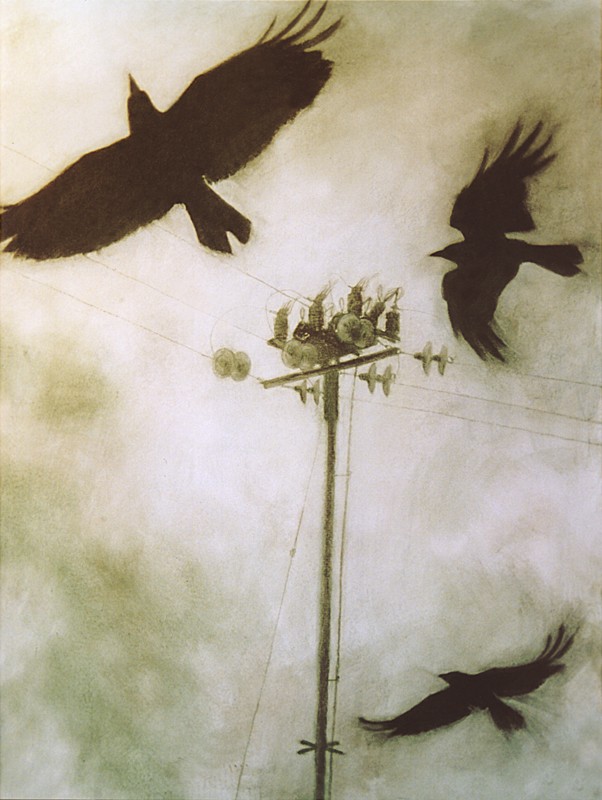 ... the rooks are so mysterious ...  (Click to enlarge)