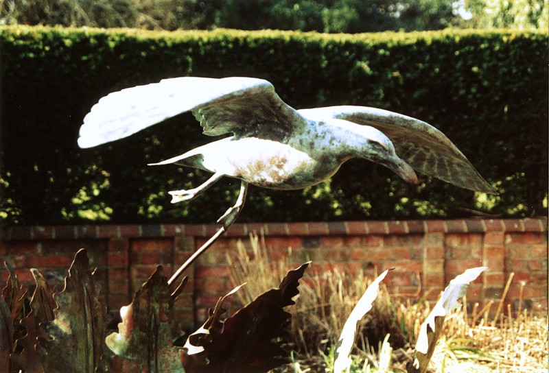 ... a water feature with fern fronds from the Downs �      (Click to enlarge)
