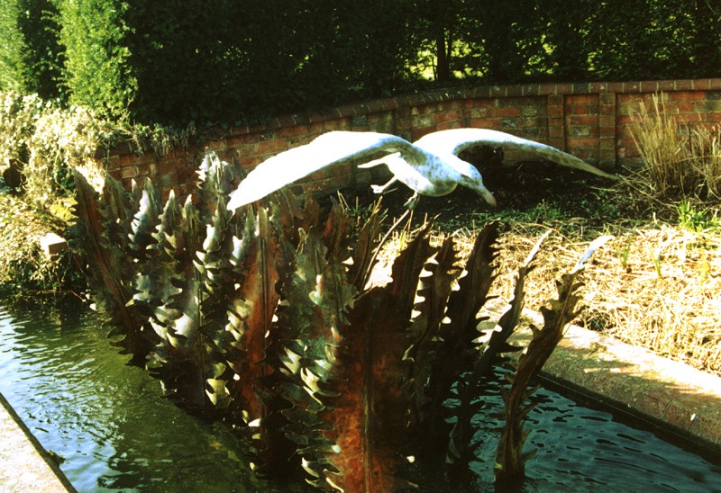 ... a water feature with fern fronds from the Downs �      (Click to enlarge)