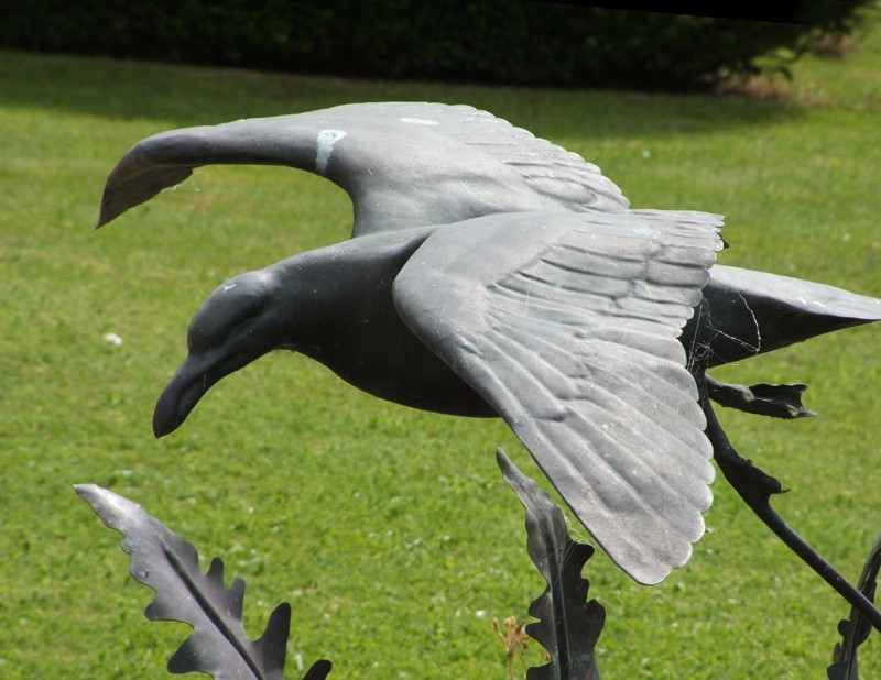... a water feature with fern fronds from the Downs �      (Click to enlarge)
