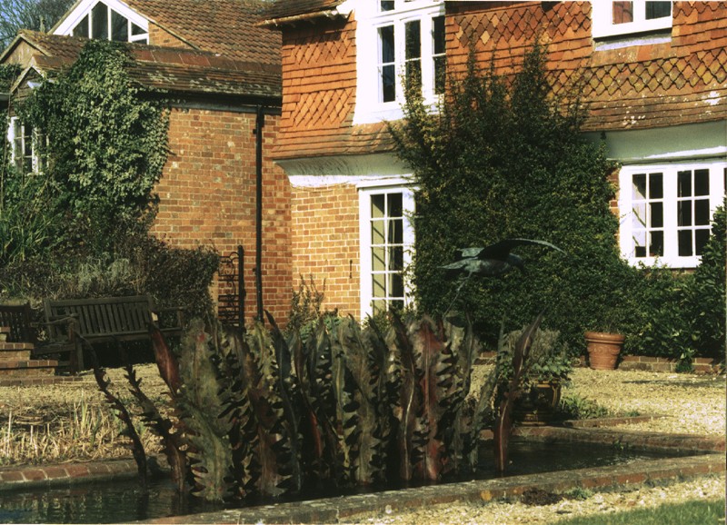 ... a water feature with fern fronds from the Downs �      (Click to enlarge)