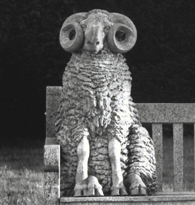 Photo by Ronnie Bennett  (Click to enlarge)