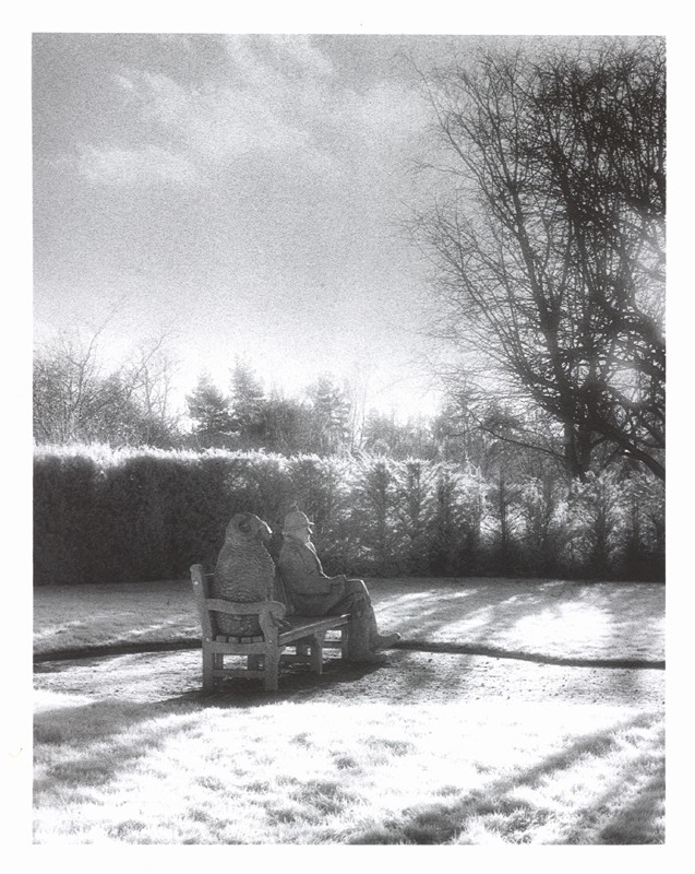 Photo by Ronnie Bennett  (Click to enlarge)