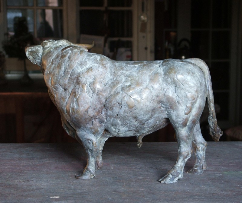 ... Dougal takes his work very seriously...  (Click to enlarge)