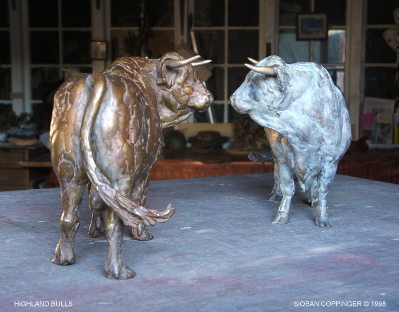 ... Dougal takes his work very seriously...  (Click to enlarge)