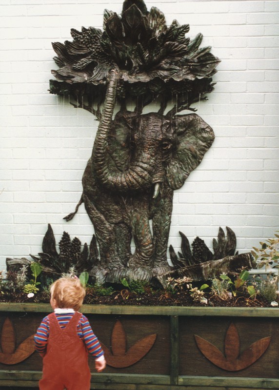 ... emerging from a storybook rainforest ...                     (Click to enlarge)