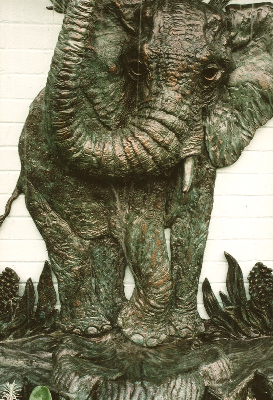 ... emerging from a storybook rainforest ...                     (Click to enlarge)