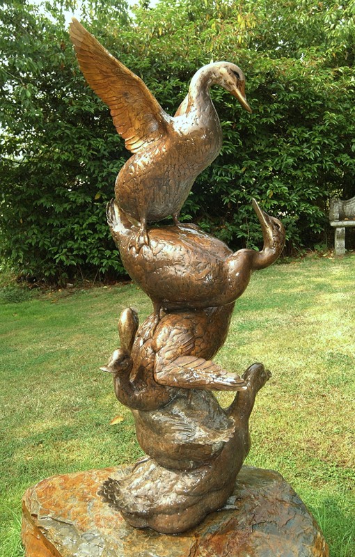 ... Flying Yattenducks ...  (Click to enlarge)