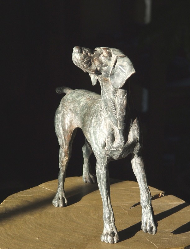 � an old friend �  (Click to enlarge)