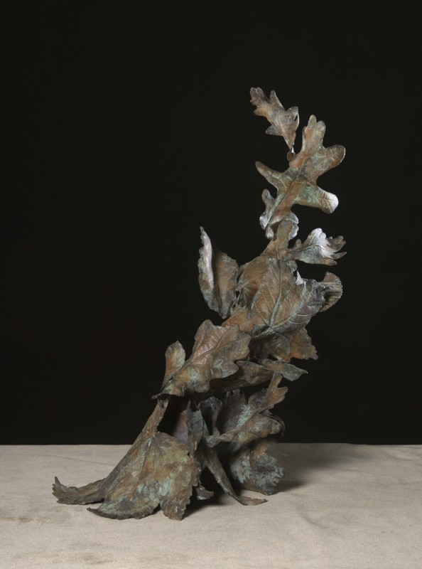 ... when the wind blows - it can leave you in a spin �      (Click to enlarge)