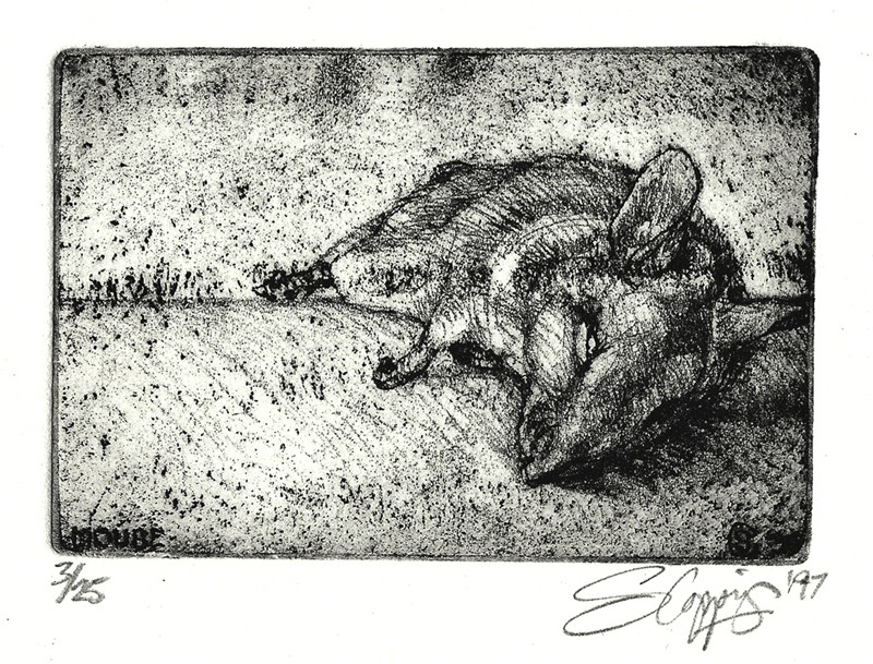 MOUSE ... a gift from the cat ...  (Click to enlarge)