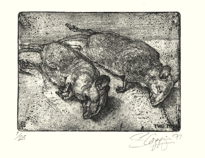 TWO MICE ... gifts from the cats ...  (Click to enlarge)