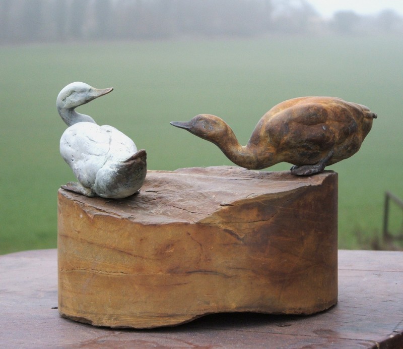 � always in a flibberty dither �  (Click to enlarge)