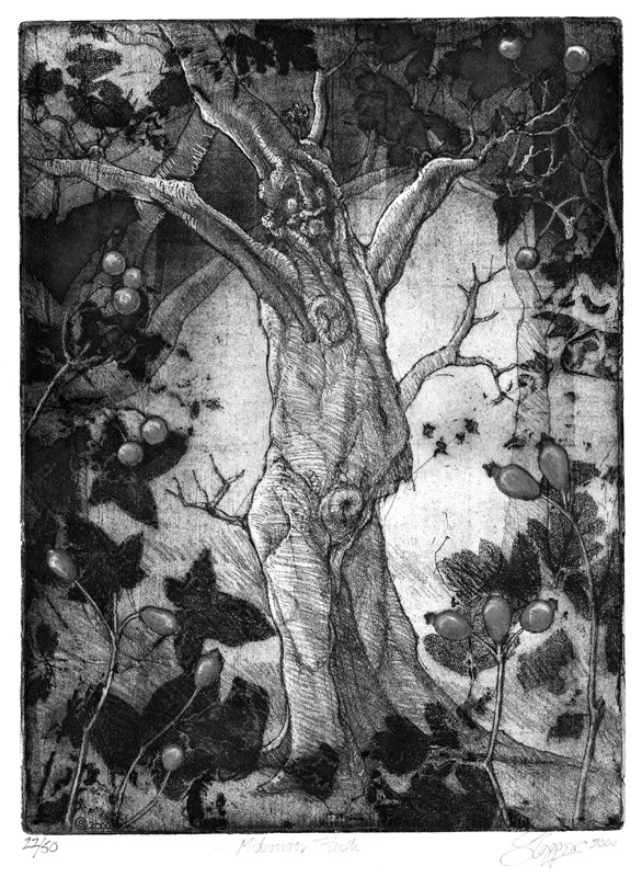 ...  a lark in the naked wet woods  �  (Click to enlarge)