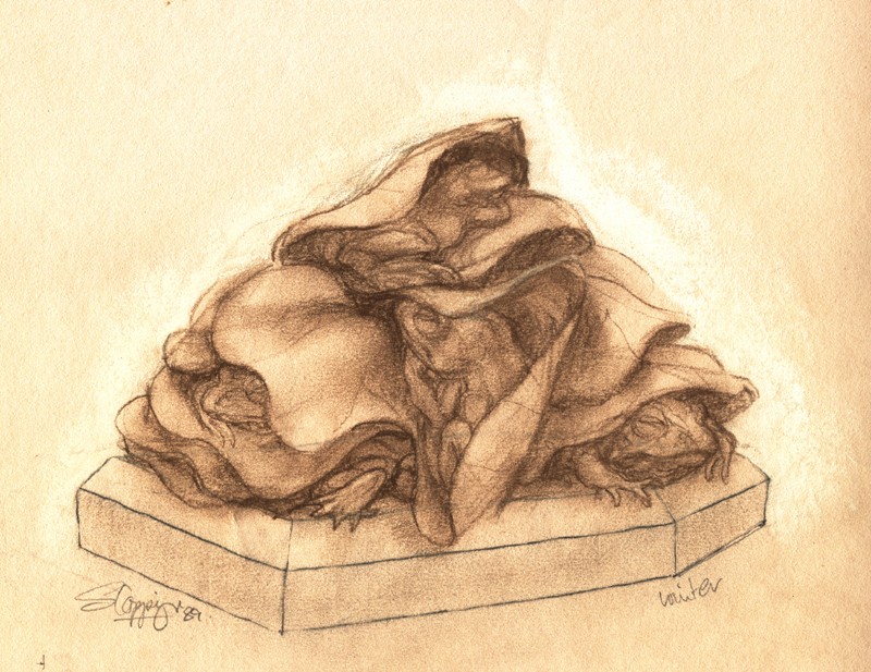 ... sleepy winter frogs ...  (Click to enlarge)