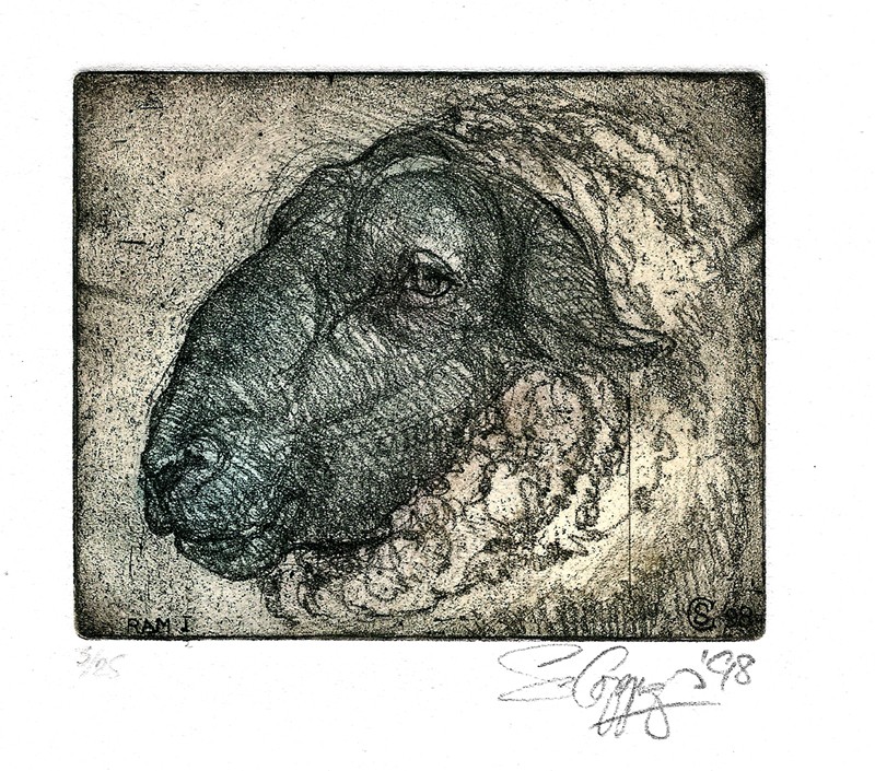 ... one of the Mile End boys ...  (Click to enlarge)