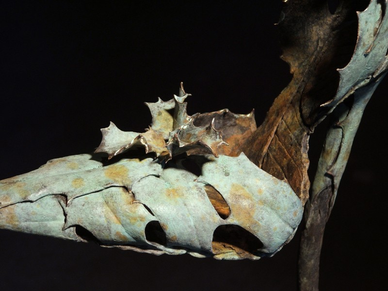 ... this shoe... leaves no doubt about its attitude! ...       (Click to enlarge)