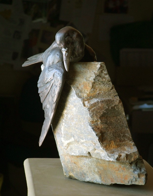 � an arresting point of view �  (Click to enlarge)