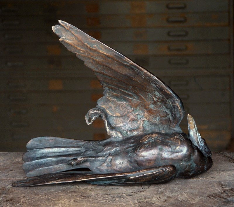 � an arresting point of view �  (Click to enlarge)