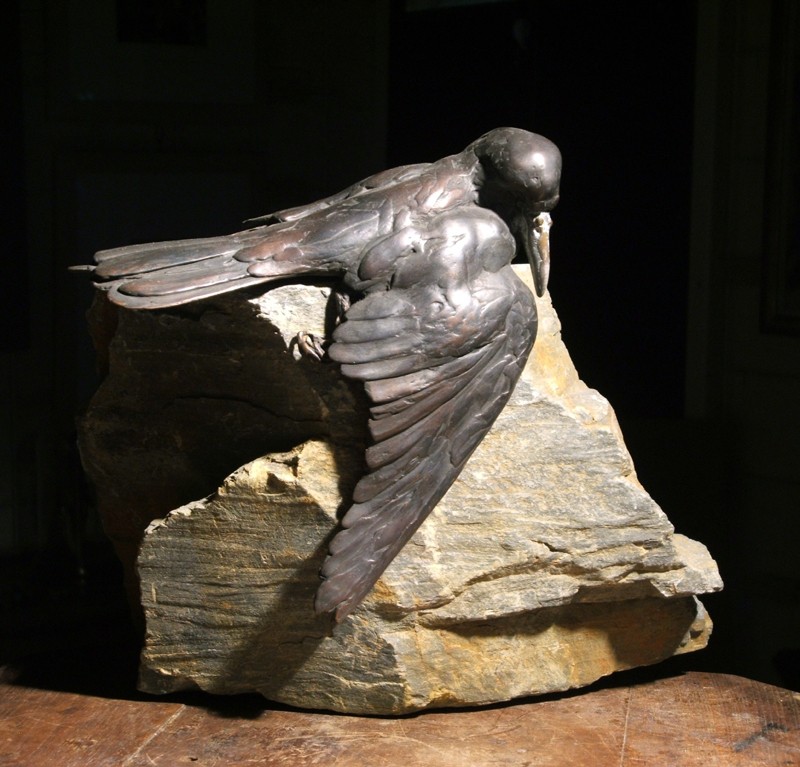 � an arresting point of view �  (Click to enlarge)