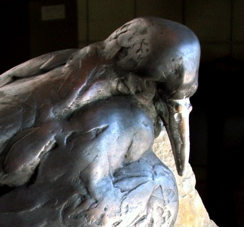 � an arresting point of view �  (Click to enlarge)