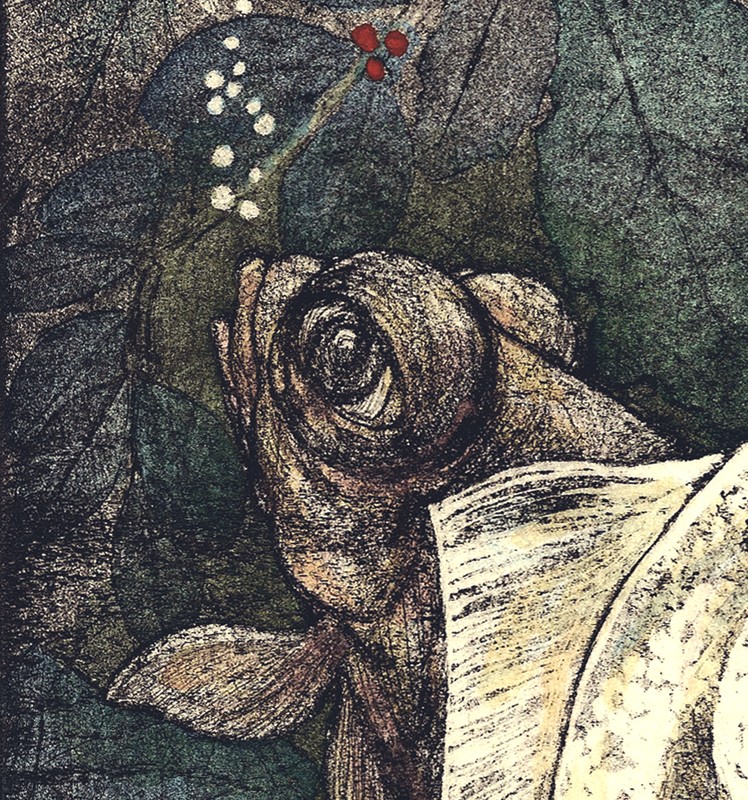 ... good friends who swim closely together ... Hand tinted        (Click to enlarge)