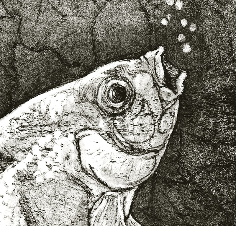 Black & white print - detail               (Click to enlarge)