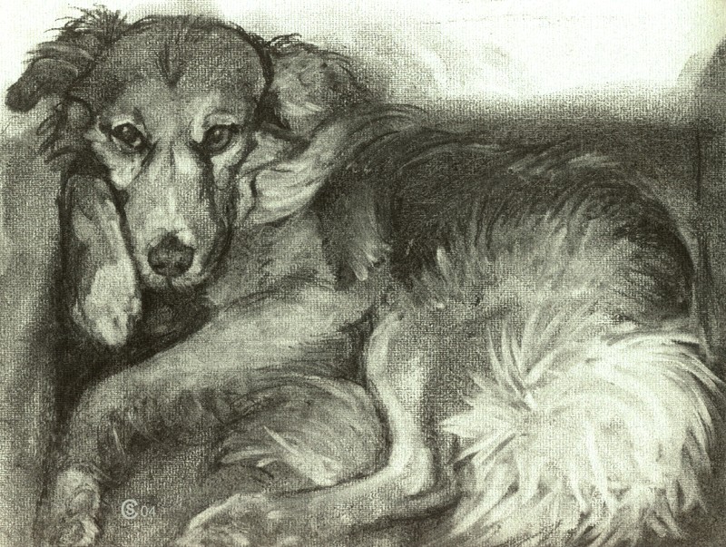 � a foxy little dog ... (Click to enlarge)