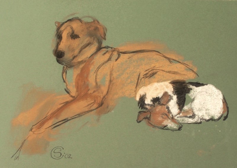 ... dog mates ...  (Click to enlarge)