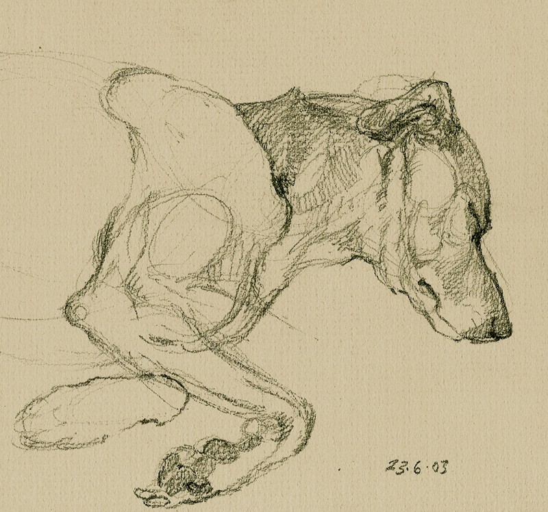 ... tinker dream ...  (Click to enlarge)