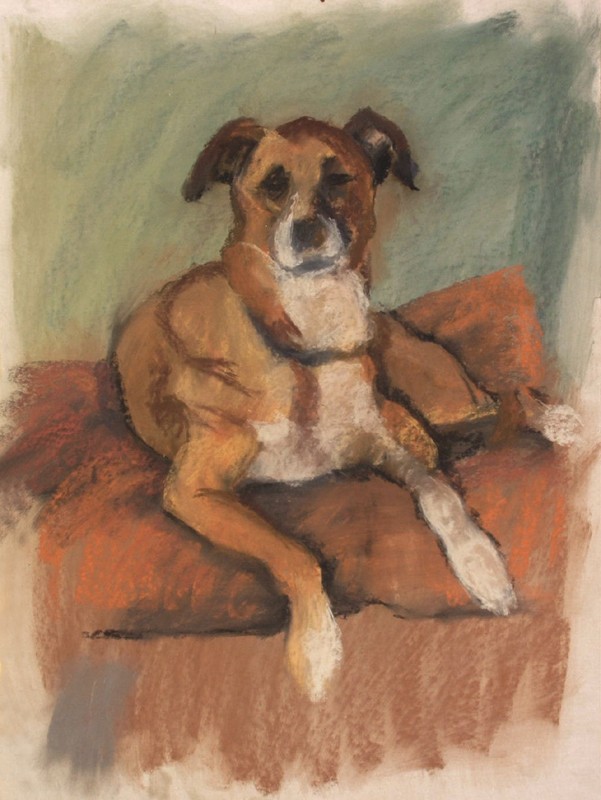 ... dog day ...  (Click to enlarge)