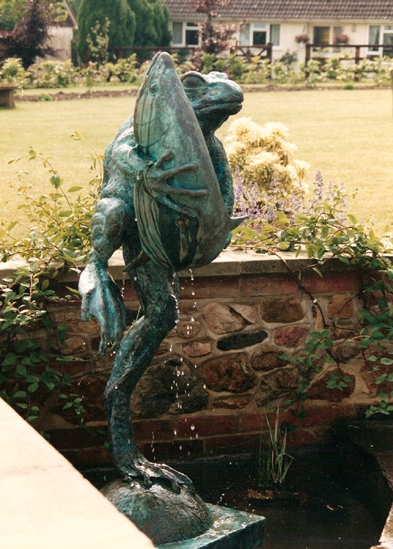 ... frogs have been found �hugging� all kinds of creatures � including fish �  (Click to enlarge)