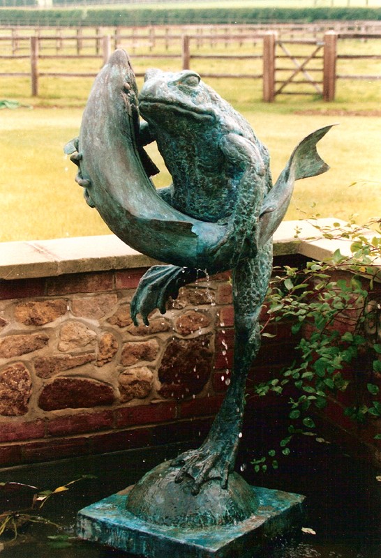 ... frogs have been found �hugging� all kinds of creatures � including fish �  (Click to enlarge)