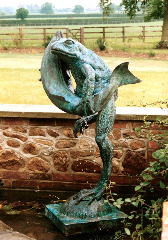 ... frogs have been found �hugging� all kinds of creatures � including fish �  (Click to enlarge)