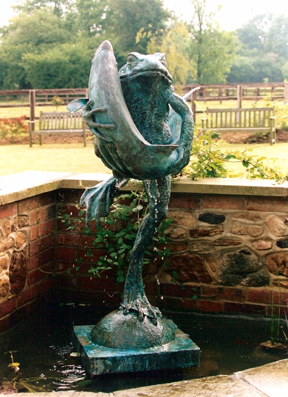 ... frogs have been found �hugging� all kinds of creatures � including fish �  (Click to enlarge)