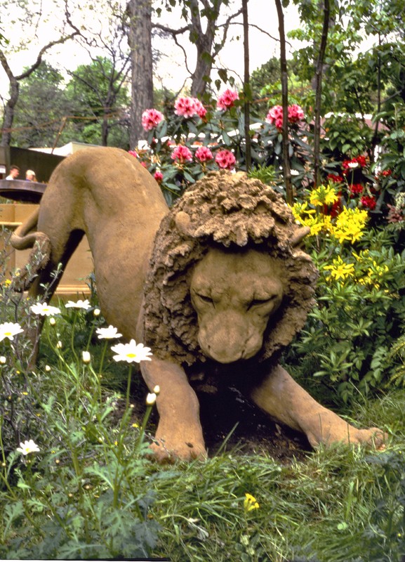 ... truant lion ...  (Click here to enlarge)