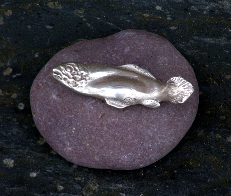 � a silvery salmon all slippery and shiny �                       (Click to enlarge)