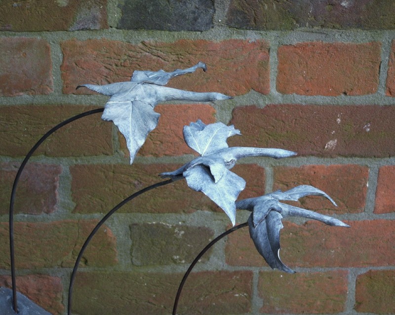 SWANS LEAVE (IV III V) 