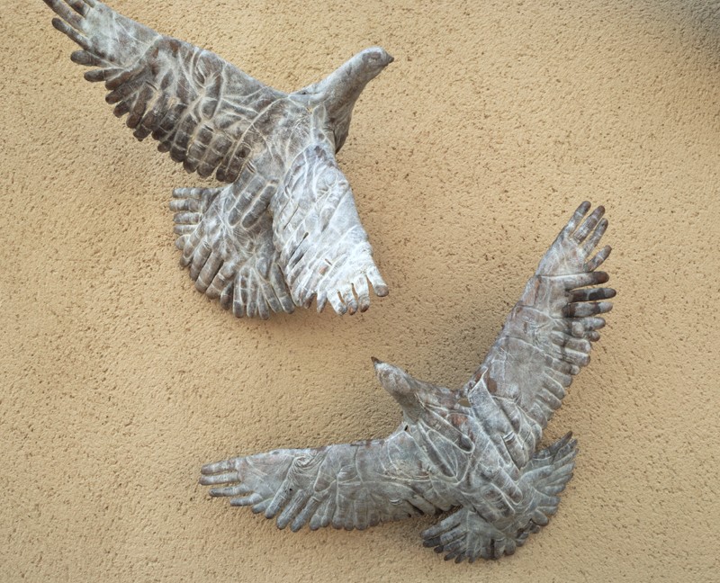 Two Hens in discussion