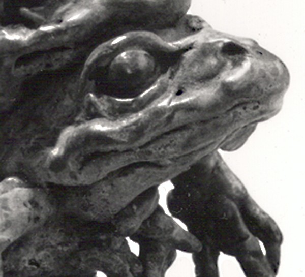 Photo by Llewellyn Robins (Click to enlarge)