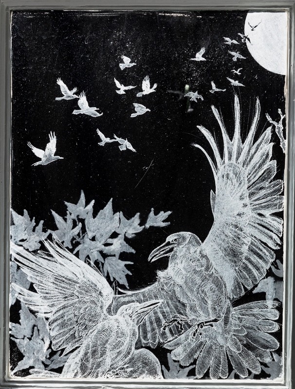 ROOKS FALL - Rook ruccous